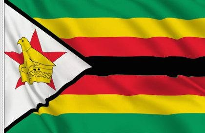 Embassy of Zimbabwe Reception: Safari and Beyond event flyer
