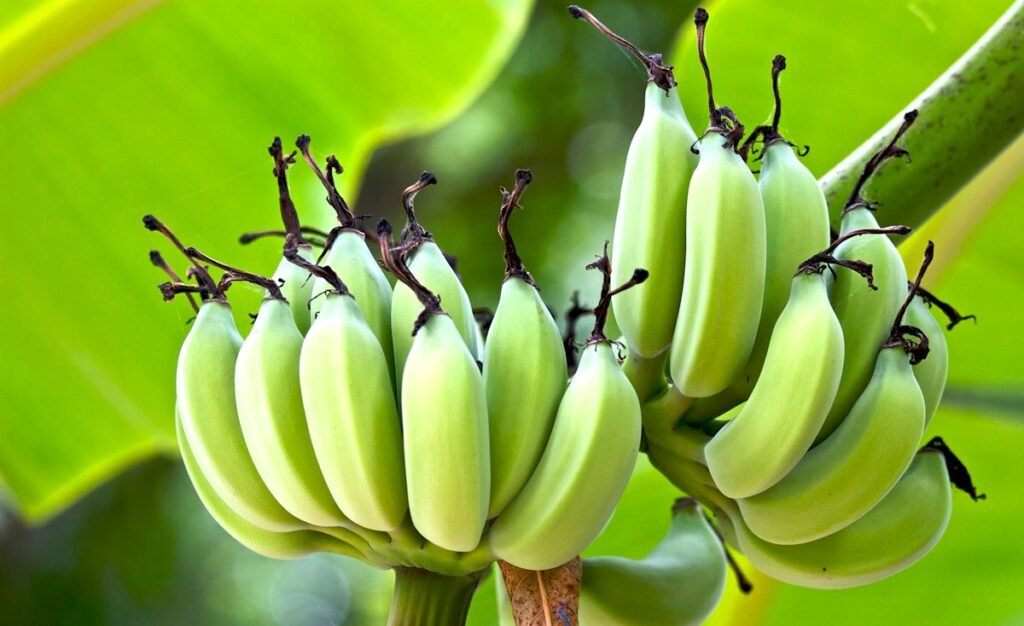Representative photo for Seinyaa African Food
